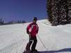 Skifahrer