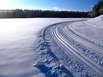 Frische Doppelspur für Langläufer