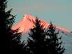 alpengluehen