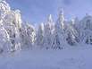 erzgebirge