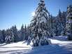 oberstaufen-schneevital-skiurlaub