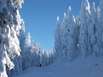 Pulverschnee Ski Urlaub Utah