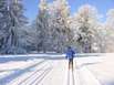 skilanglauf