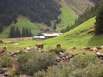 zillertal-sommer