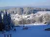 oberstaufen skiurlaub