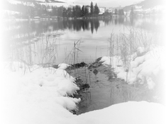 Winterwonderland