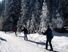 Familie beim Langlauf