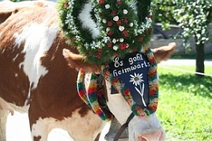 Almabtrieb