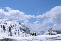 cortina