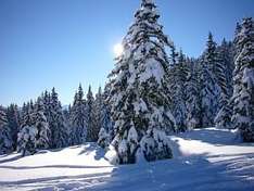 oberstaufen-schneevital-skiurlaub