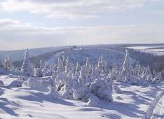 oberwieselthal-fichtelberg-iglu