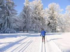 skilanglauf