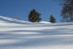 Utah Skiurlaub preiswert