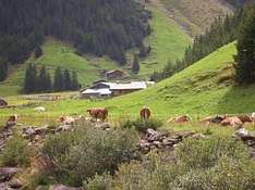 zillertal-sommer