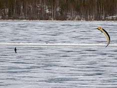 Kite-Skiing