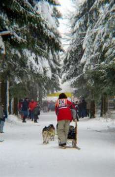 Hundeschlittenrennen