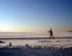 Skilanglauf