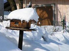 Urlaub im Schnee