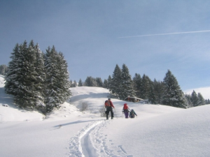venet ski start