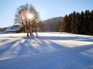 sport events und wellness bodenmais