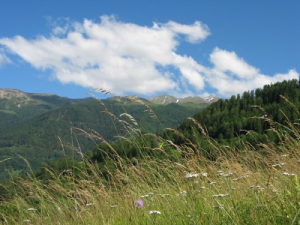 Bergsommer im Skigebiet Montafon