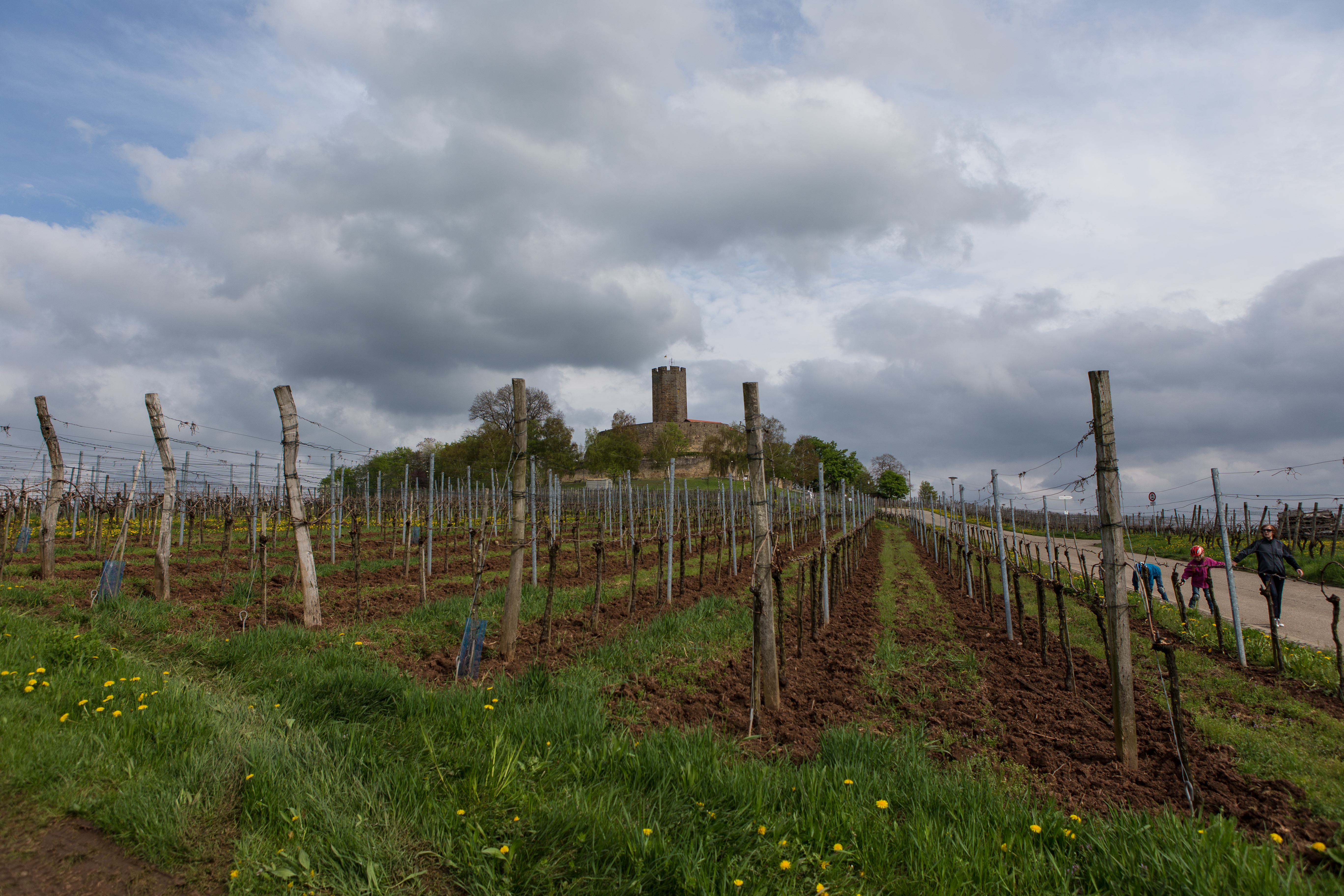 Burg Steinsberg