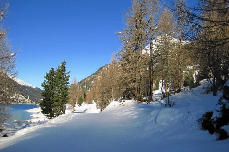 Verschneiter Weg an einem Bergsee im Winter