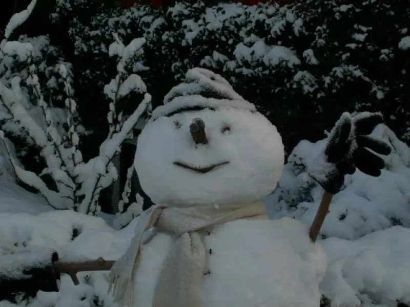 Lächelnder Schneemann mit Schal und erhobenen Armen