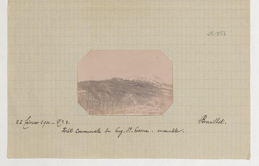 File:Commune de Puy-Saint-Pierre (forêt communale) - Brouilhet - btv1b10686158w.jpg
