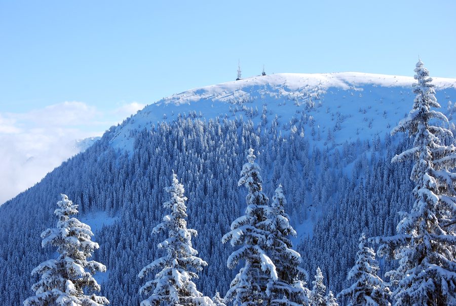 Blick auf das Rangger Köpfl von Nordwesten