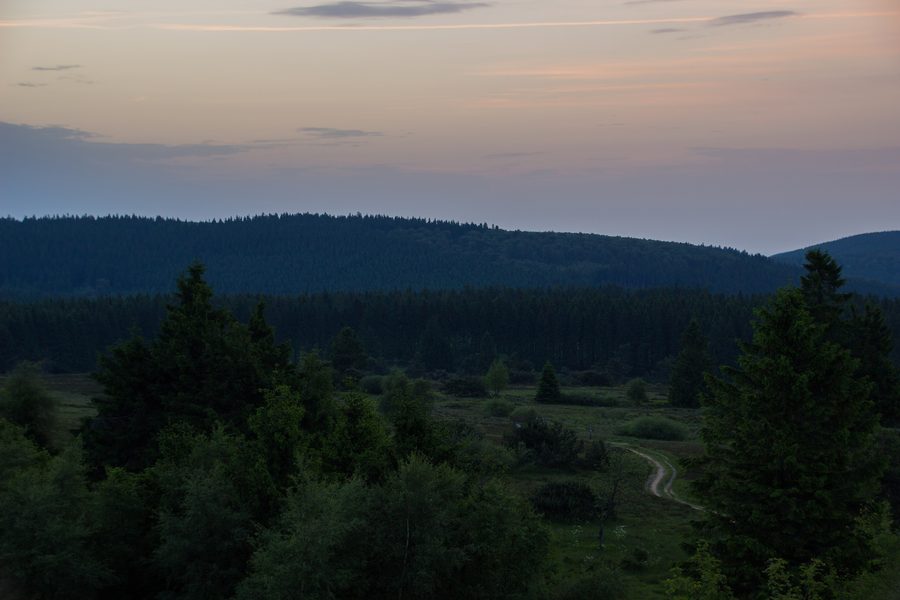 Abendliche Hochheide im Naturschutzgebiet Neuer Hagen am Clemensberg nahe Hildfeld