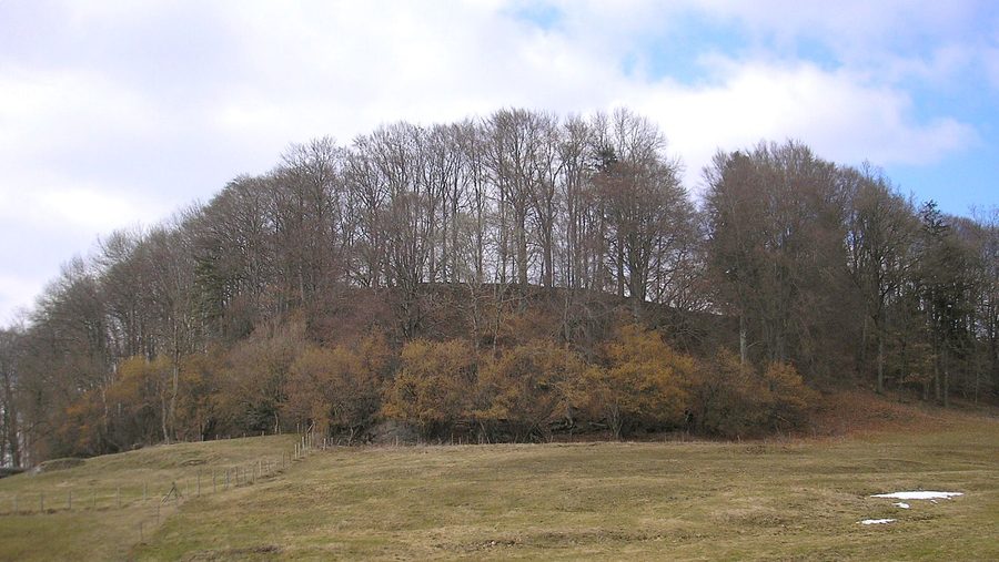 Burgstall Romatsried bei Eggenthal, Blick von Südwesten über den historischen Erdwall
