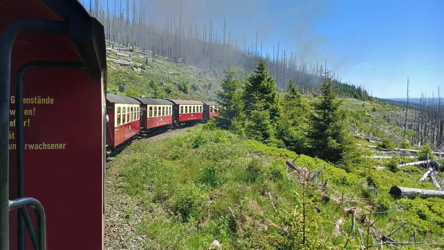 Harz narrow-gauge railway journey toward the Brocken in Saxony-Anhalt