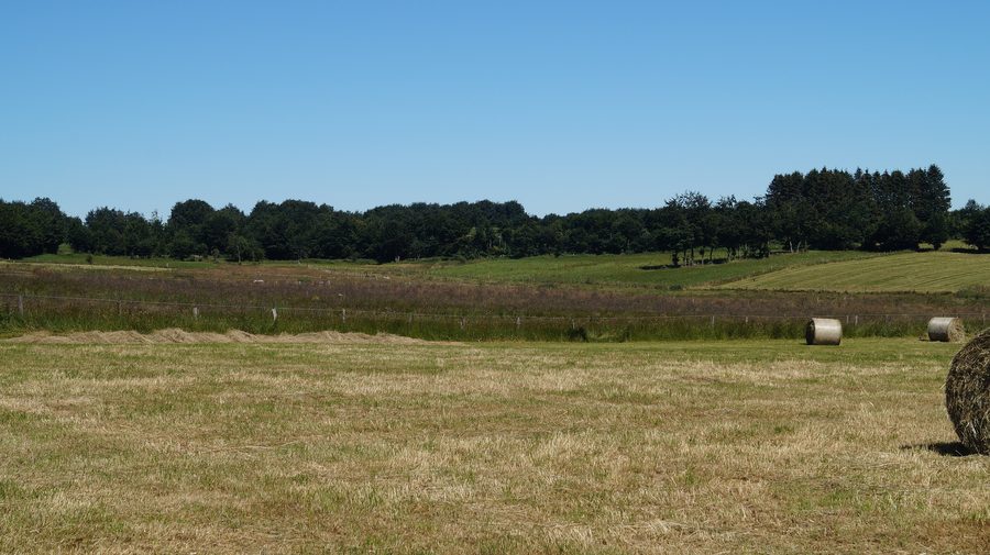 Quellwiesen-Naturschutzgebiet Steckelbuechel in Simmerath