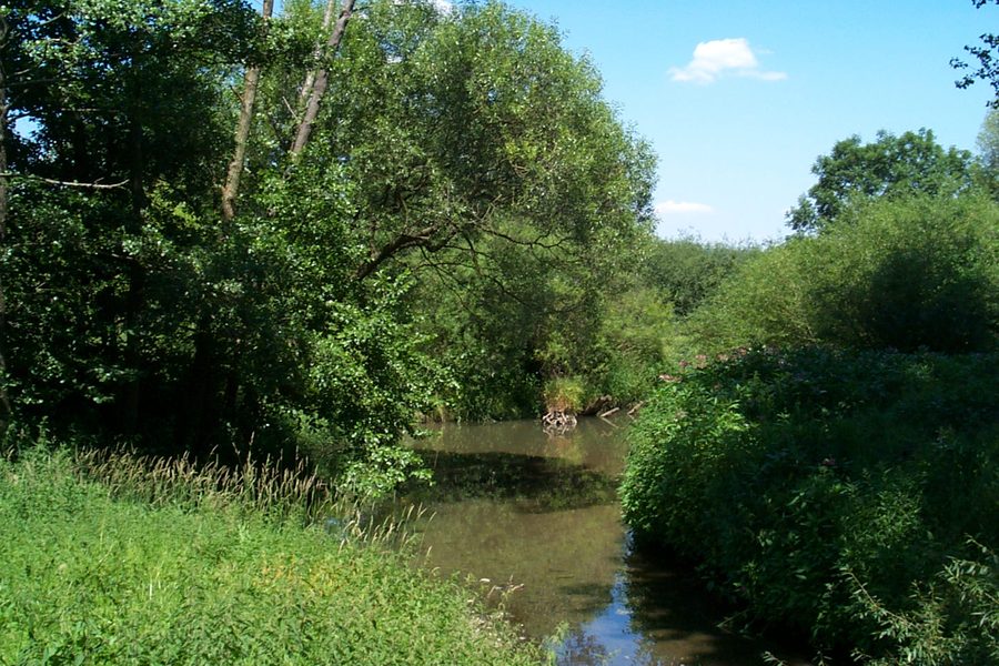 Drahtinsel beim LBV-Zentrum Mensch und Natur in Nößwartling
