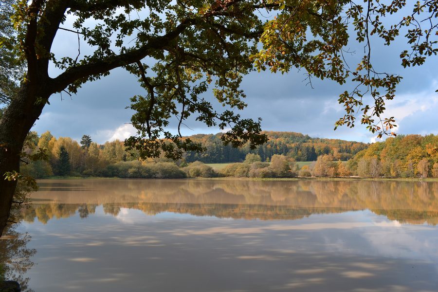 Naturschutzgebiet Schalksbachteiche im Vogelsbergkreis bei Herbstein