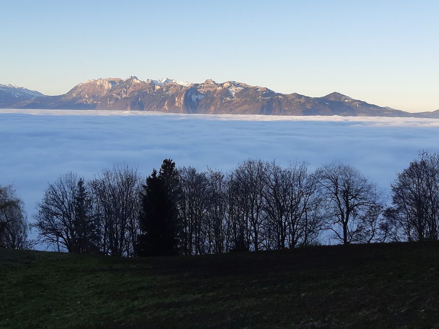 Blick von Viktorsberg zum Hohen Kasten in der Berglandschaft Vorarlbergs