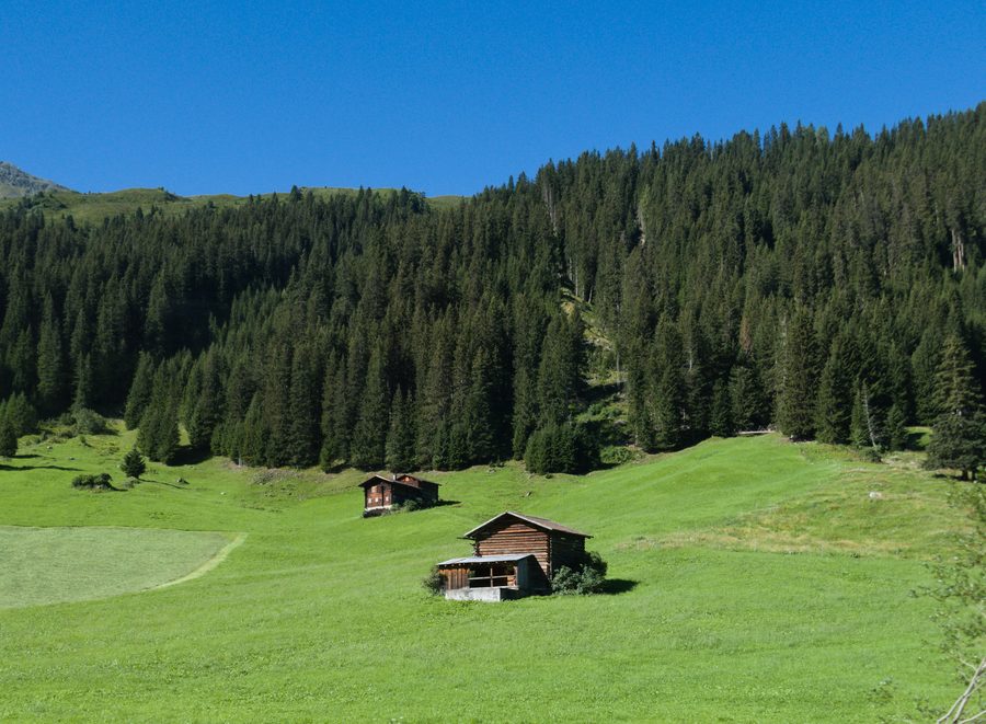 Davos Clavadel in Switzerland