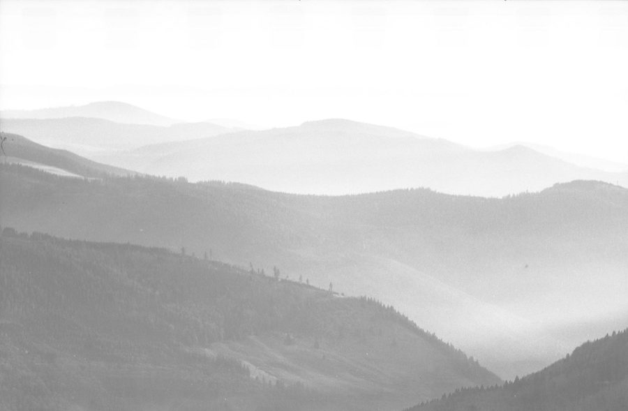 Panoramablick vom Feldberg über den Schwarzwald, Jura und die Alpenkette