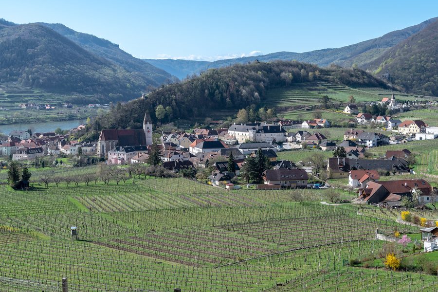 Spitz an der Donau in der Wachau