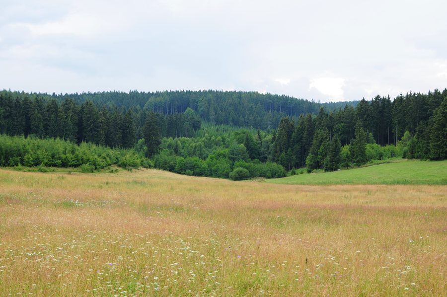 Landschaft bei Bärendorf in der Gemeinde Bad Brambach