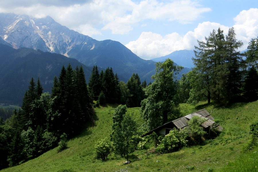 Rakež-Weide in Zgornje Jezersko vor der alpinen Bergkulisse