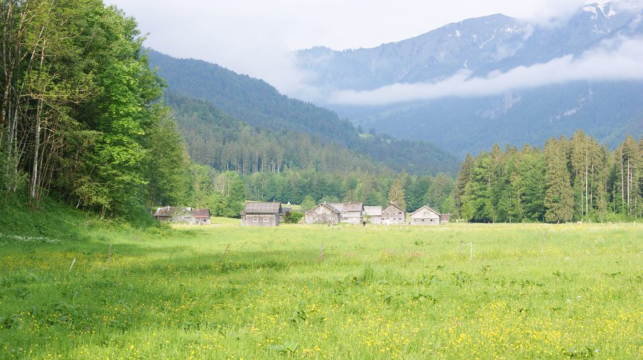 Historisches Engevorsäß in Schnepfau in Vorarlberg