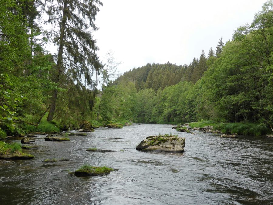 Flusslauf des Schwarzen Regen zwischen Teisnach und Böbrach-Öd im Bayerischen Wald