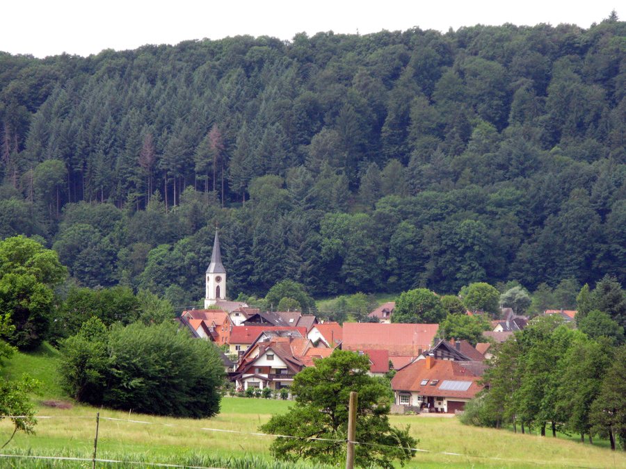 Sexau mit evangelischer Kirche, Blick vom Breisgauer Weinweg