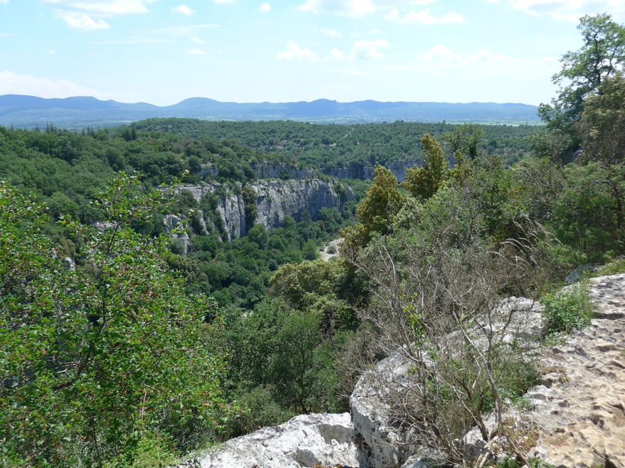 Schlucht des Chassezac in der Ardèche, gesehen von der Corniche im Bois de Païolive