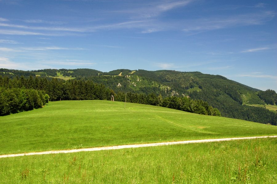 Blick auf Hochbärneck und den bewaldeten Turmkogel in Niederösterreich