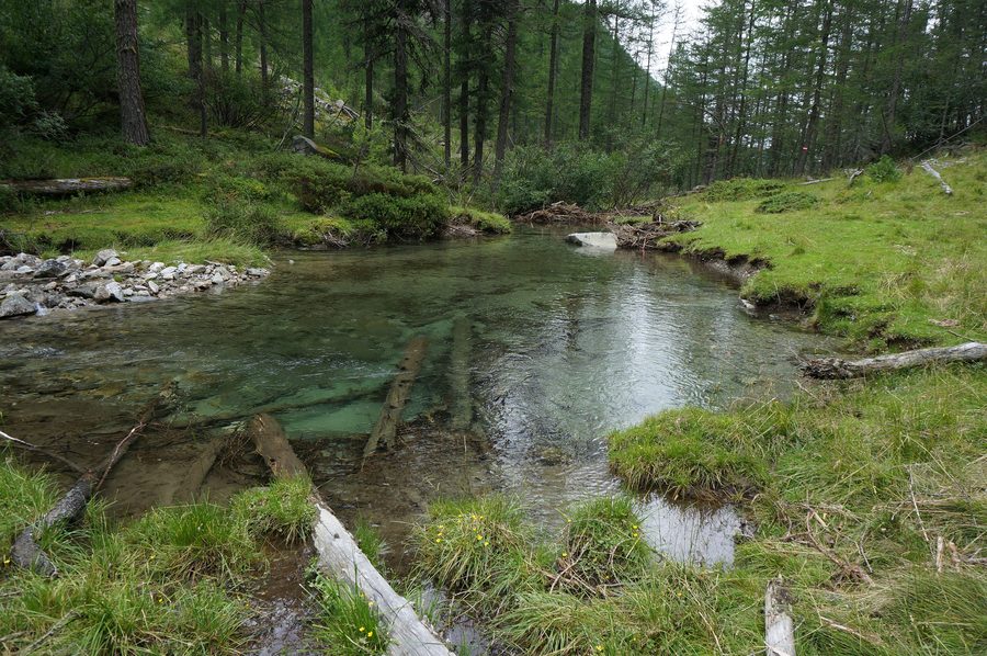 Meerauge im Kaponigtal im Bezirk Spittal an der Drau, Kärnten