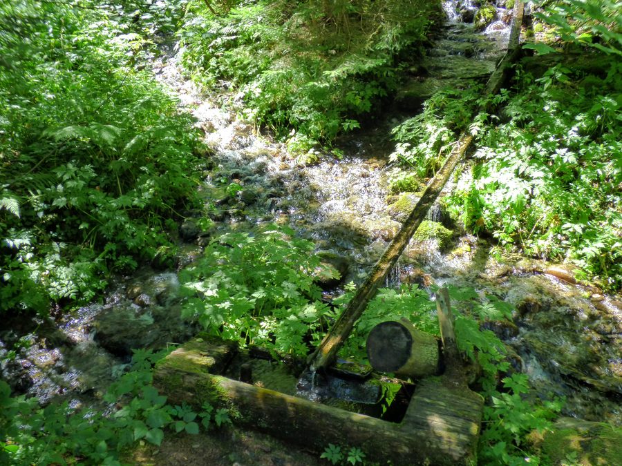 Kreuzung zweier Tiebelquellbäche in der Gemeinde Himmelberg in Kärnten