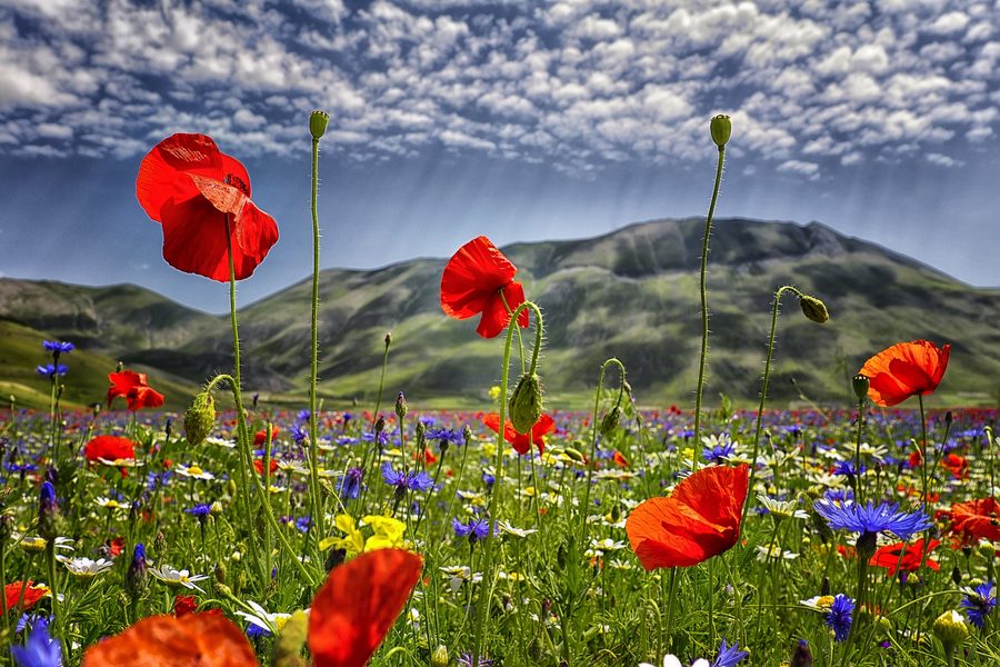 Weite Landschaft des Pian Grande bei Castelluccio di Norcia